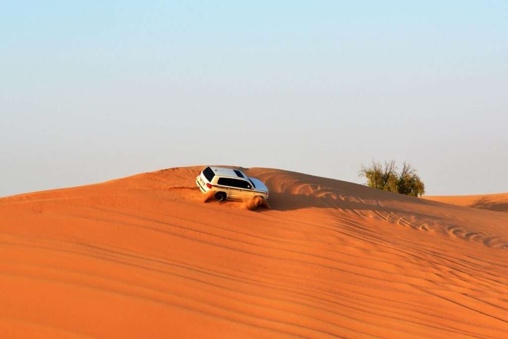 morning desert safari